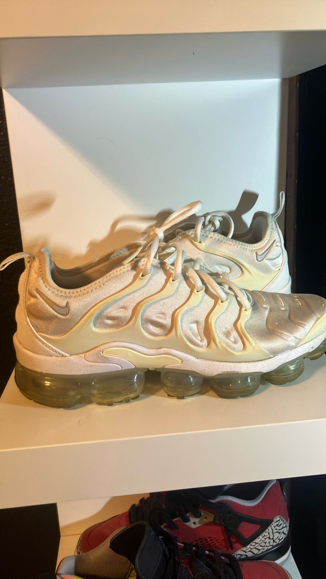 Nike Vapor Max Plus