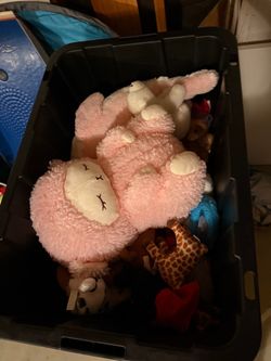 stuffed animals bin