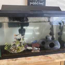 Fish Tank For Sale 10 G