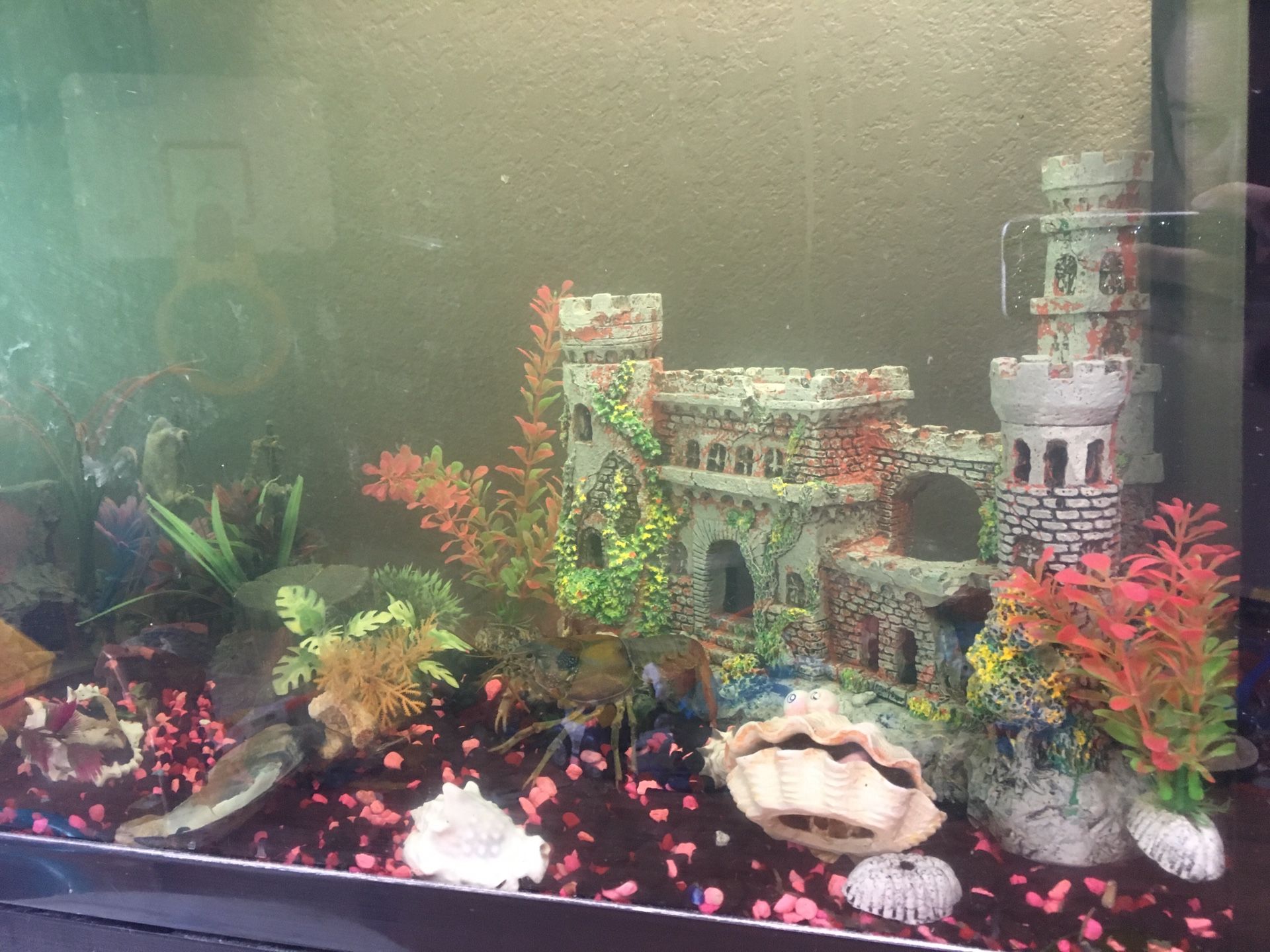 Fish tank with all decorations included