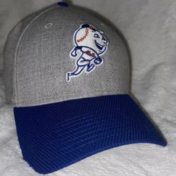 Mr Mets 00 Autograph Hat 🧢 Size M-L New 