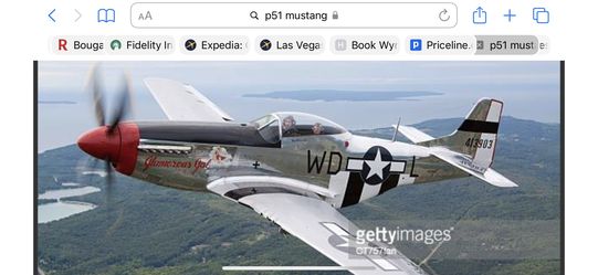 P 51 Mustang kite