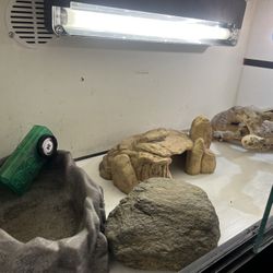 Reptile Tank