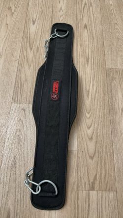 Weighted Dip Belt