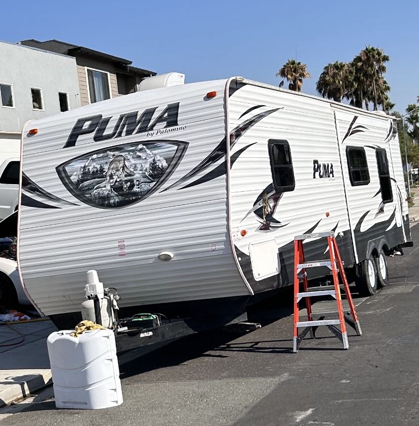 2014 Palomino Puma