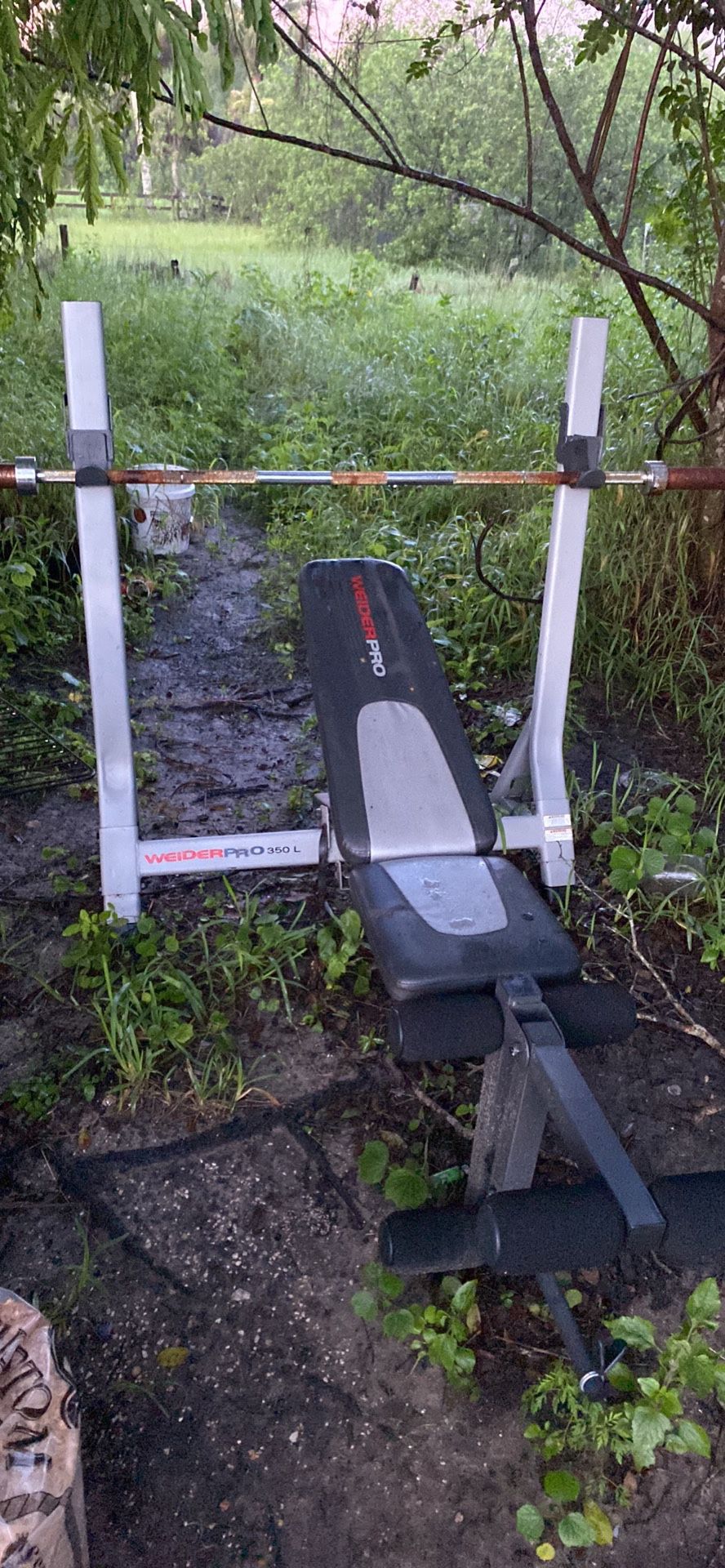 Weight Bench with 45 pound bar