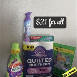 Gain Flings 31 count Bundle