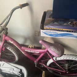 Pink dragon bike 