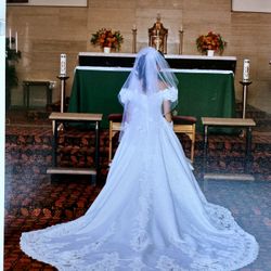 Wedding Dress Moonlight