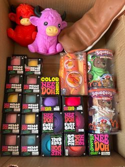 Nee Doh Squishy Toy Bundle -$10