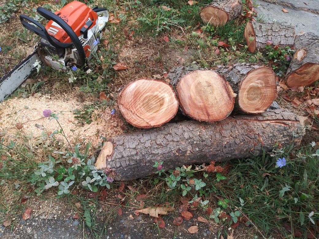 Free Fire Wood .... Free Delivery