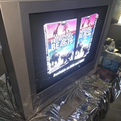 TOSHIBA VHS/DVD TV