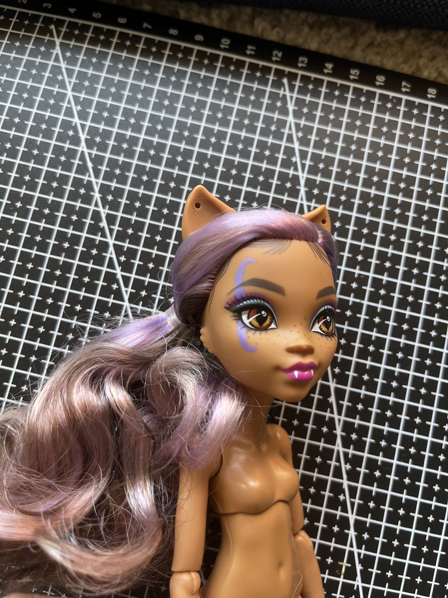 Clawdeen Monster High Doll And Clothes