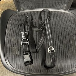 6’ Heavy-duty Dog Leash And Collar