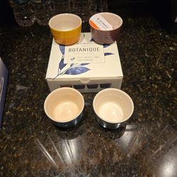 Le Creuset RARE Botanique Set Of Ramekins