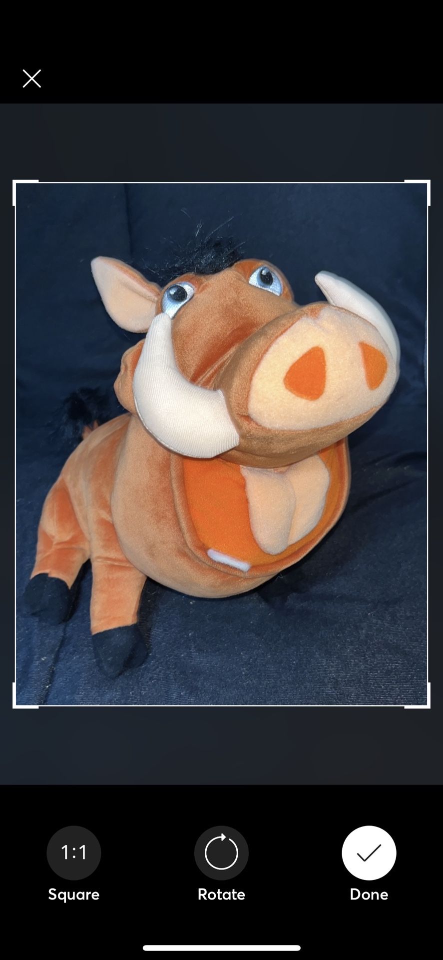 Disney The Lion King Feed Me Talking Pumba No Bugs
