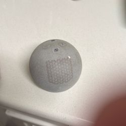 Echo Dot 