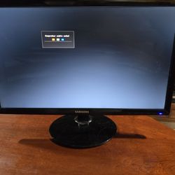 Samsung 21" Computer Monitor