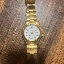 Citizen watch