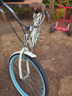 Schwinn cruiser