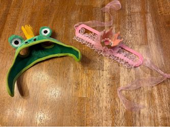 Pet costumes