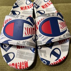 Champion Slides 