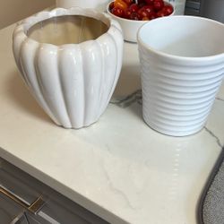 Plant Pots 