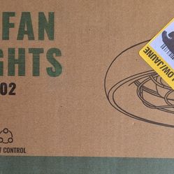 Fan With Light
