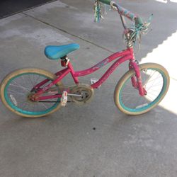 Girls Bicycle Bike