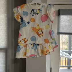 Bluey Skort Set! Girls 18 Month