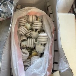 Light Bulbs 