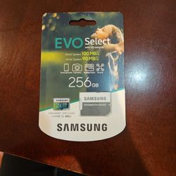 Samsung 256 GB Evo Select SD Card