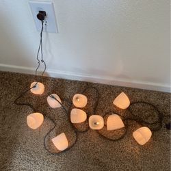 Indoor Outdoor Decorate Lights 10 Counts $ 10 I Have 2 Srt 20 Bulbs Both $ 15 Firm Price Pls