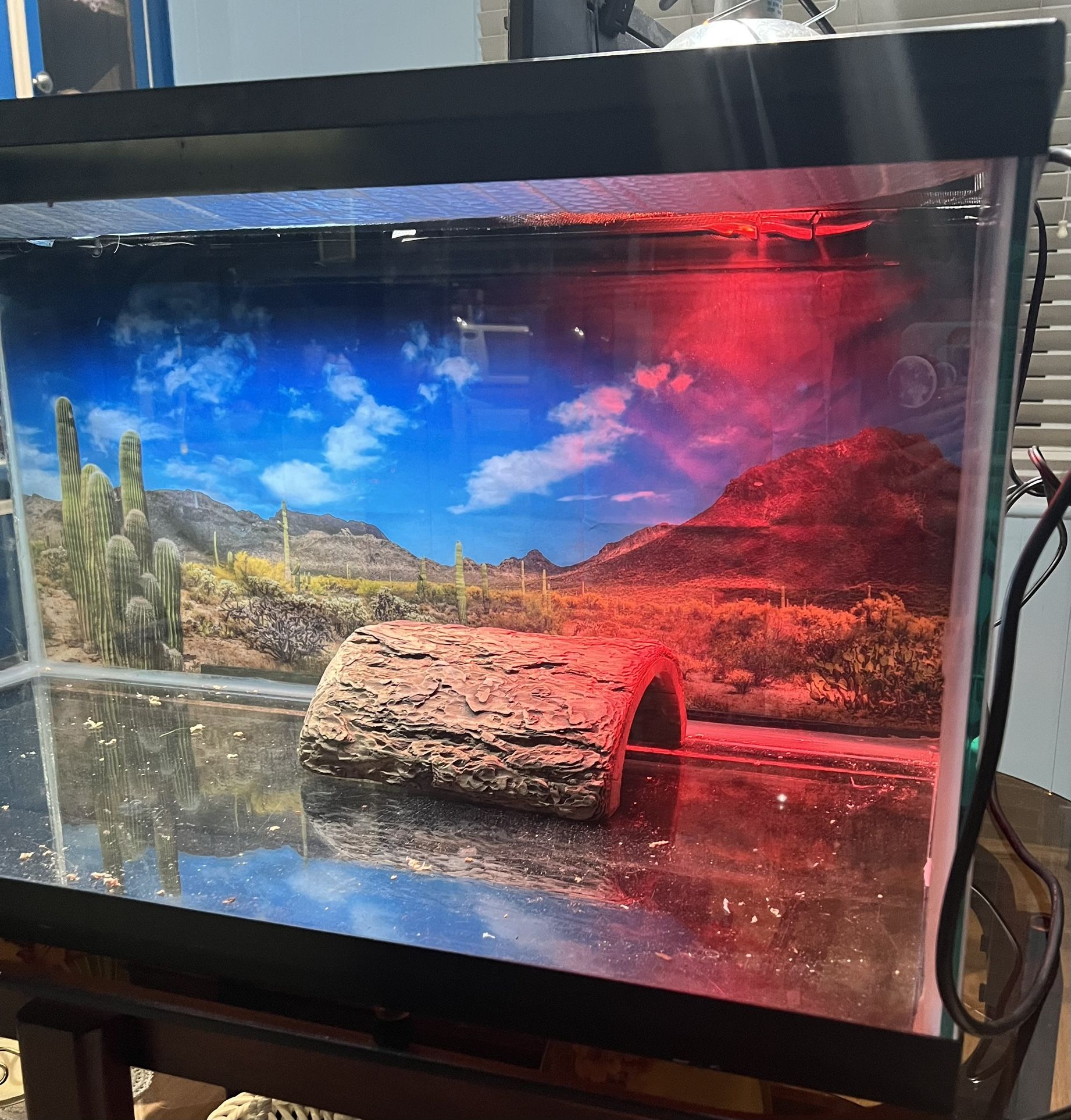 Complete 40 Gallon reptile Tank: Lamps, Insulation, Background. 