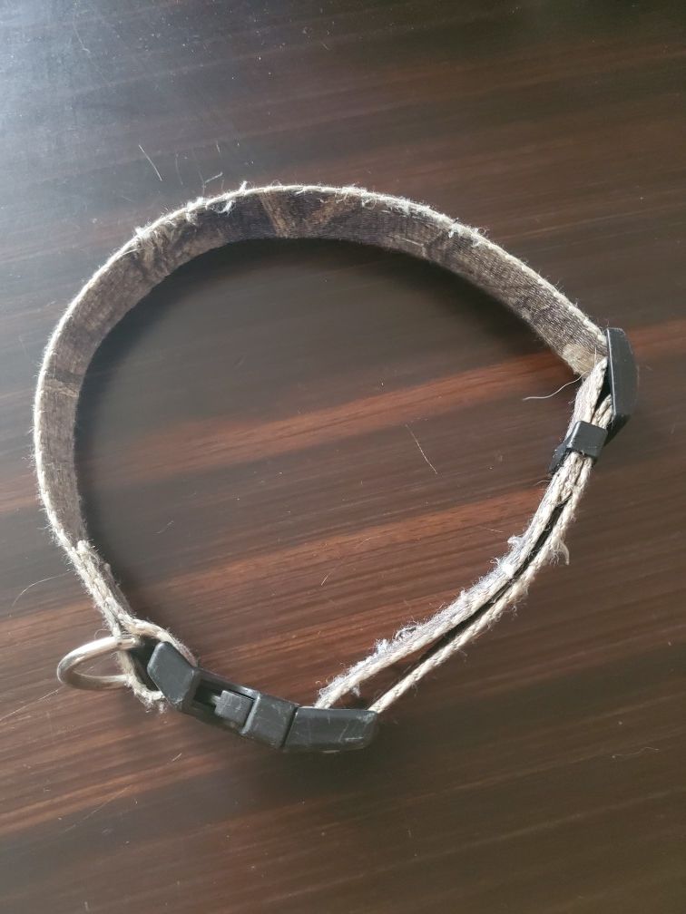 DOG COLLAR $3