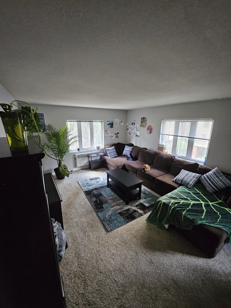 Sectional Couch