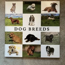 Giant Dog Breeds Book