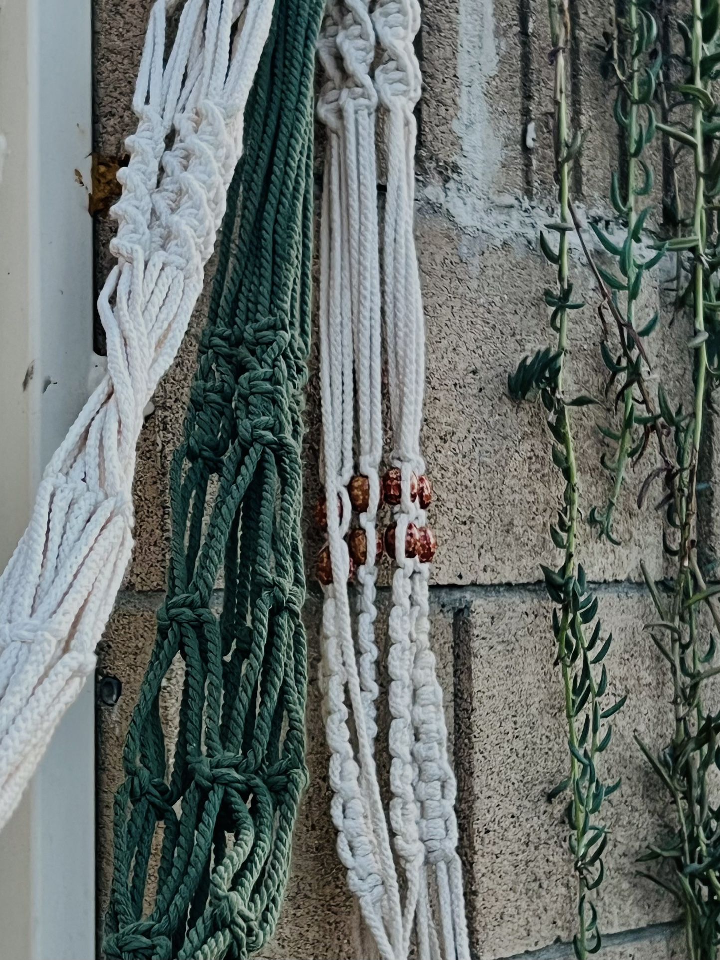 Set of 3 Macrame Hanging Plant Holder