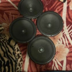 Apocalypse Sylvesters 