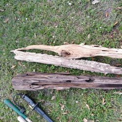 Assorted Driftwood 