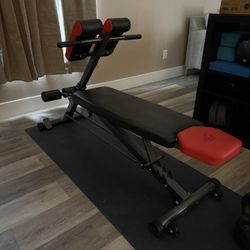 Weight Bench