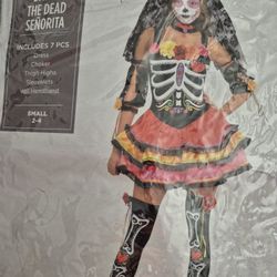 Day of the Dead Costume