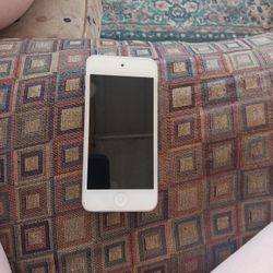 Ipod Touch 5th Gen