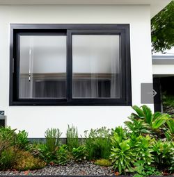 Window