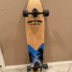 Excellent Condition Seething Longboard