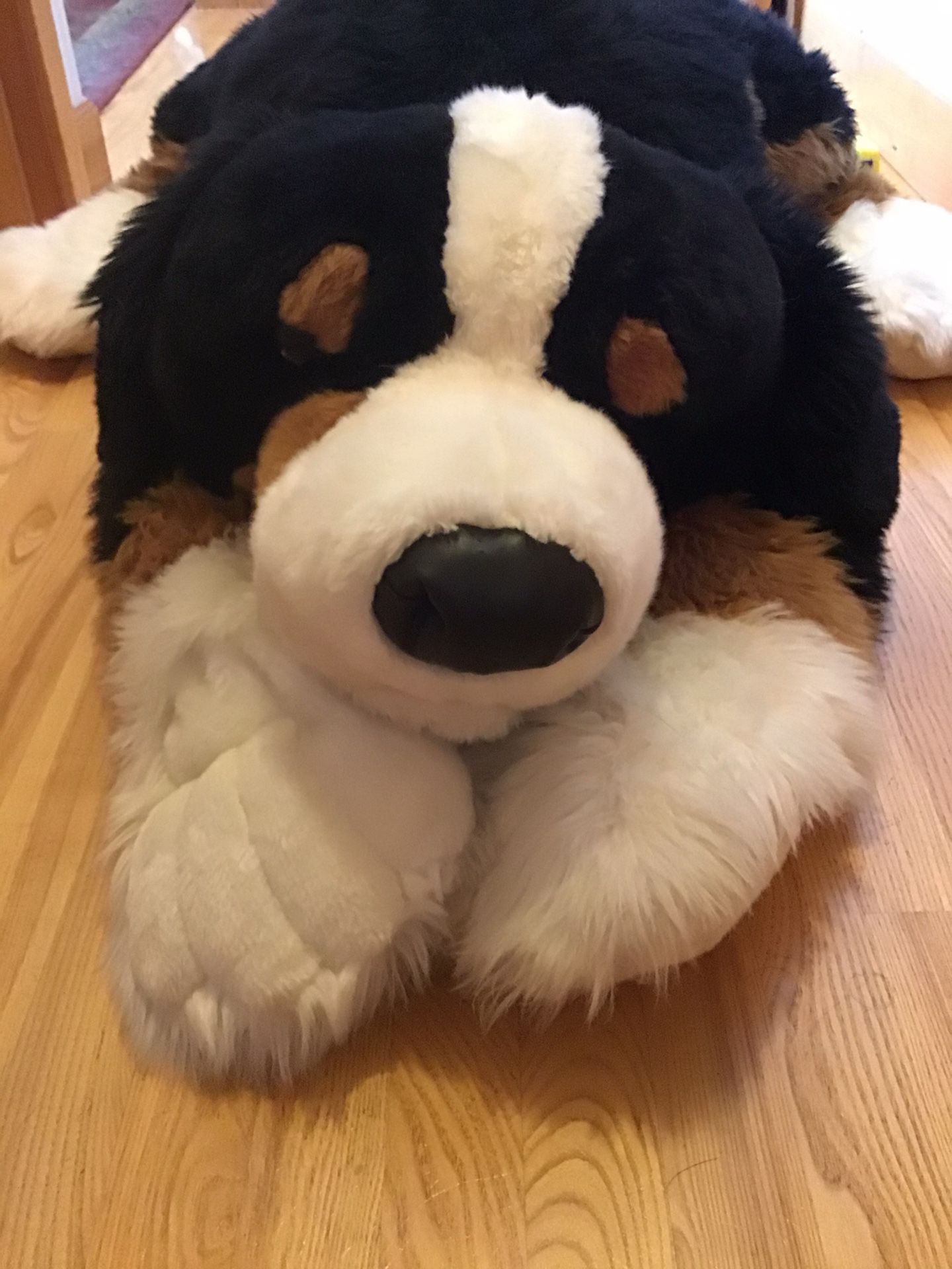 Bernese Mountain Dog Plush Stuffed Animal Huge Giant Sized 48” 