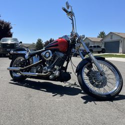 1999 Harley Davidson Softail