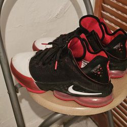 Original LeBron  Nike Shoes 