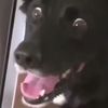 Ang