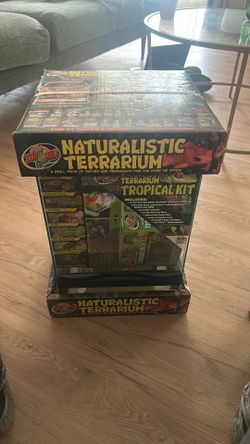 Zoomed naturalistic terrarium
